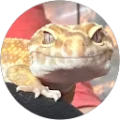 Amy Marie Avatar